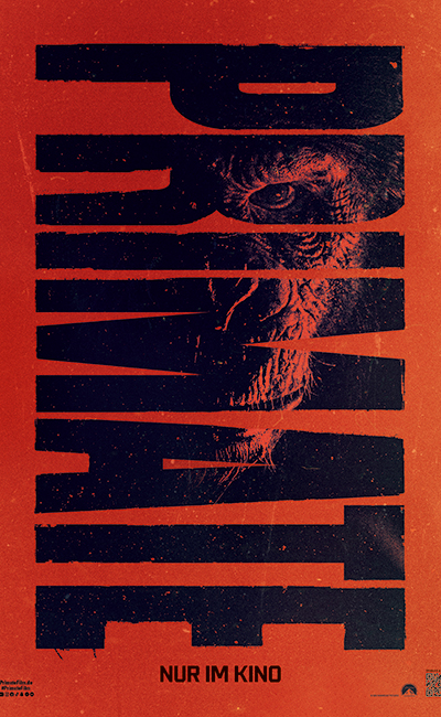 Primate